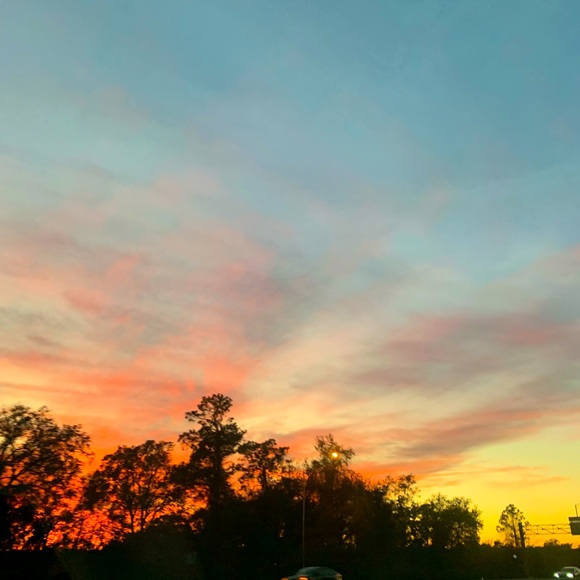 Meet your Posher, Luisa - Picture 1 of 1